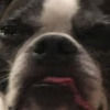 ethanh748